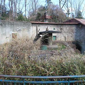Old Gorilla enclosure