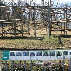 Chimpanzee enclosure