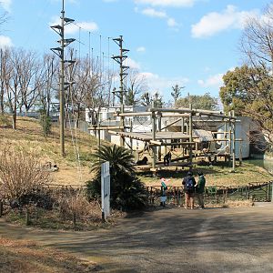 Chimpanzee enclosure