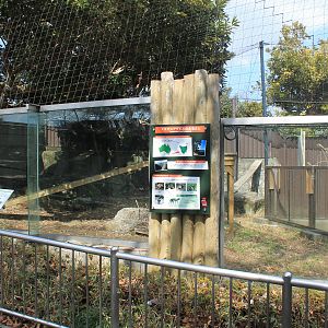 Tasmanian Devil enclosure