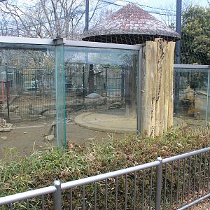 Wallaby enclosures