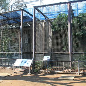 Australian aviaries