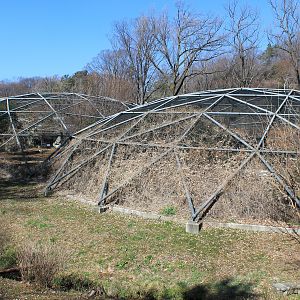 Walk-through aviaries
