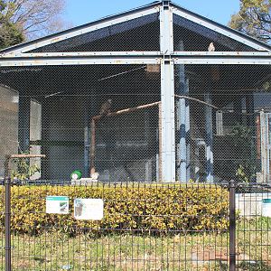 Bird of Prey aviaries