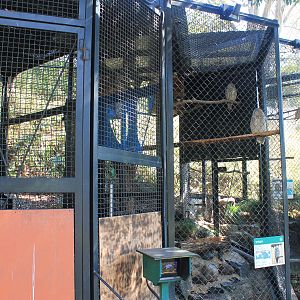 Owl aviaries