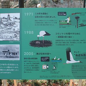 Oriental Stork signage
