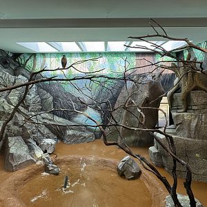 Upgraded ibis indoors