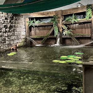 Atlantaquaria Galway-Pike tank