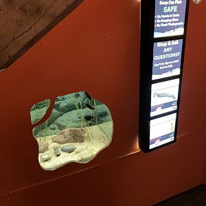 Atlantaquaria Galway-Small tank under the stairs