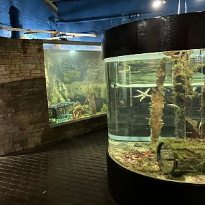 Atlantaquaria Galway-General view