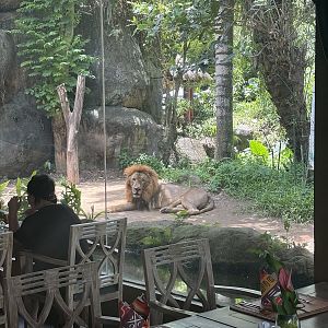 Tsavo Lion Restaurant - Dining room