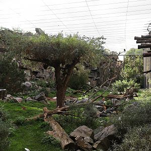 ABH - Vulture aviary