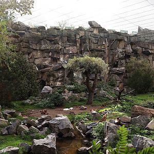 ABH - Vulture aviary