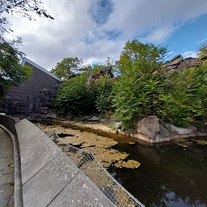 ABH - Terrace behind Sunbear