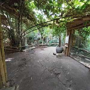 ABH - Tropical Rainforest - Gharial exhibits
