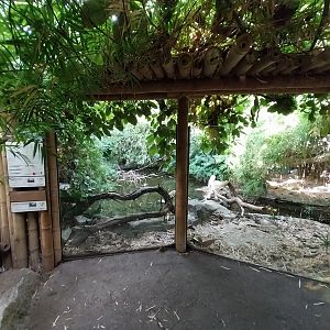 ABH - Tropical Rainforest - Gharial exhibit 2