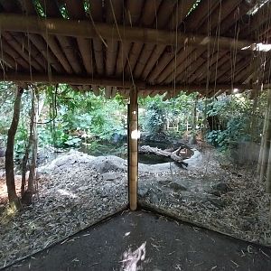 ABH - Tropical Rainforest - Gharial exhibit 1