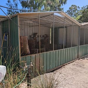Unadorned rock-wallaby enclosure