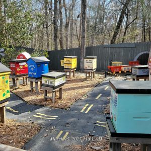 Beehives - Bee City Zoo - March 2025