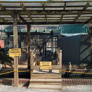 Reflection Pool - Bee City Zoo - March 2025