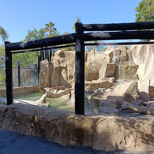 Asian small-clawed otter exhibit