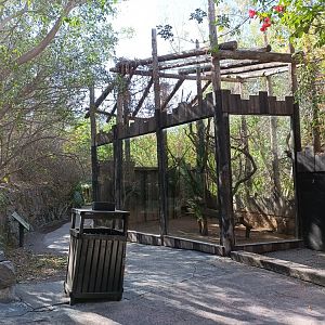 Six-banded armadillo and squirrel monkey exhibit