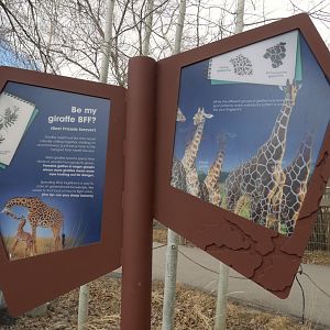 Destination Africa: Renovated Savannah Plains with New Signs