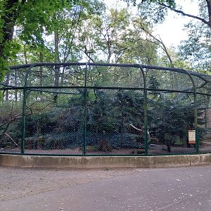 Owl Aviaries - Ural Owl (Strix uralensis)
