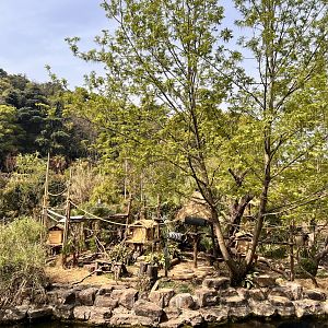 Ring-Tailed Lemur Island