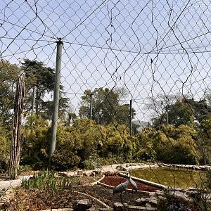 Crane Aviary