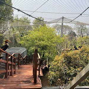 Hornbill Aviary