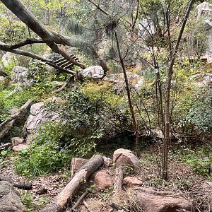 Main Leopard Exhibit