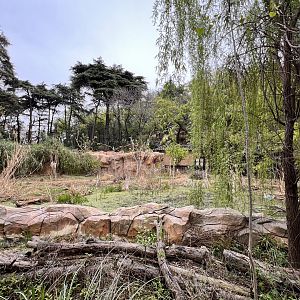 Chinese Water Deer Exhibit