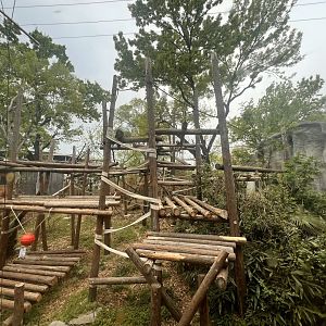 Orangutan Main Exhibit