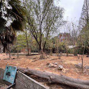 Emu and Black Swan Exhibit