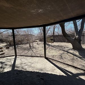Southern Cassowary Habitat