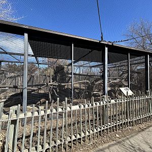 White-nosed Coati Habitat