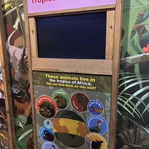 Graphics in the Tropics