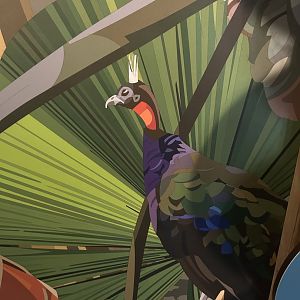 Graphics in the Tropics