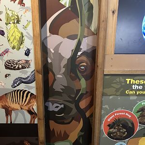 Graphics in the Tropics