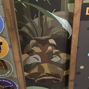 Graphics in the Tropics