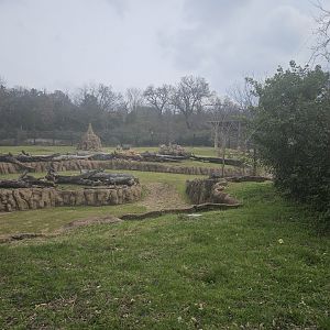 Kudu/Giraffe/Zebra/Guineafowl/Ostrich Habitat