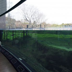 Satellite Lakes and Marshes exhibit - Lake Biwa Museum