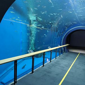 Offshore exhibit  - Lake Biwa Museum