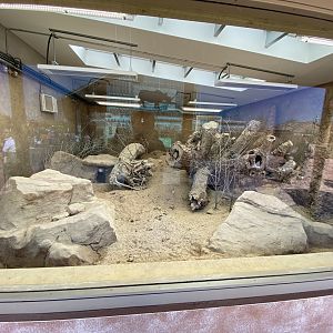 New meerkat indoor enclosure