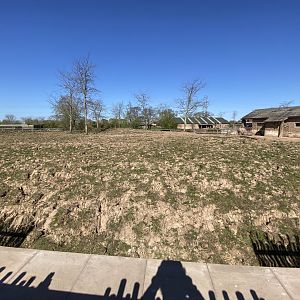 Black rhino enclosure