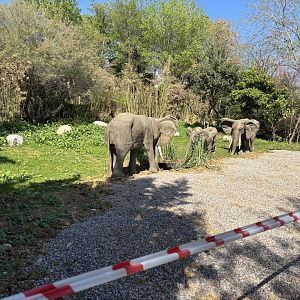 Where the penguins once roamed…