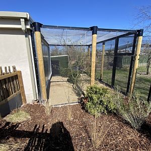 Outdoor aviary for the lovebirds, bishops and waxbills