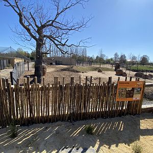 Warthog enclosure