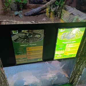 Aviary Park Indonesia - Caucasus Beetle signage